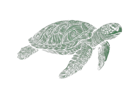 Turtle